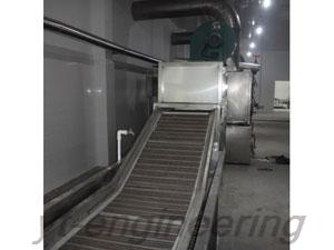 Fruit and Vegetable Dehydration Drying Line